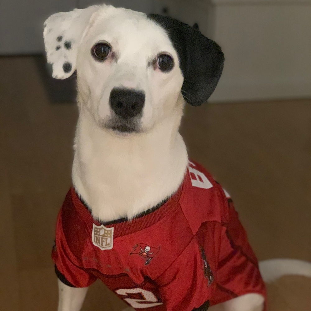 Meet your Posher, Jeff